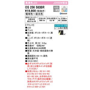 【OS256583BR】オーデリック スポット...の詳細画像1