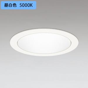 OD361055R 保護チューブ欠品 在庫限り オーデリック ODELIC LEDダウン
