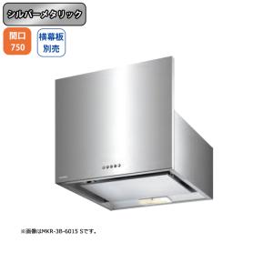 深型レンジフードW750×D595×H600【前幕板H200同梱】シロッコファンWES