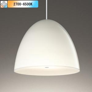 Panasonic（パナソニック） NNF41877 LT1 ベッドライト 壁直付型 LED