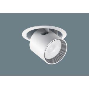 Panasonic（パナソニック） △[法人限定][即納在庫有り] NEL4600EN LR9
