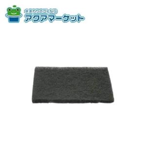 リンナイ RBF-BSBN-FX-L-T ガスふろがま T型(ストレート) Lタイプ/前