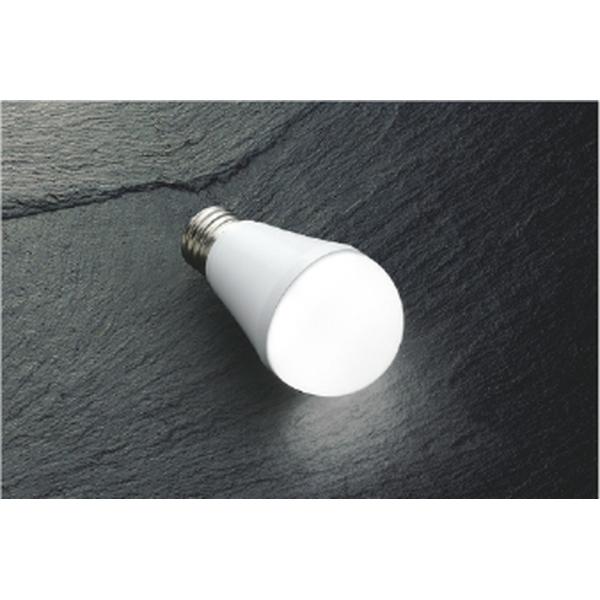 コイズミ[AE54466]LEDランプ