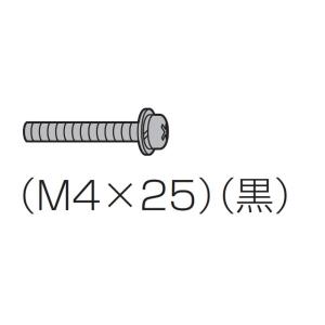 パナソニック 本体固定用ねじ(M4×25)(黒) XYN4+F25FJK