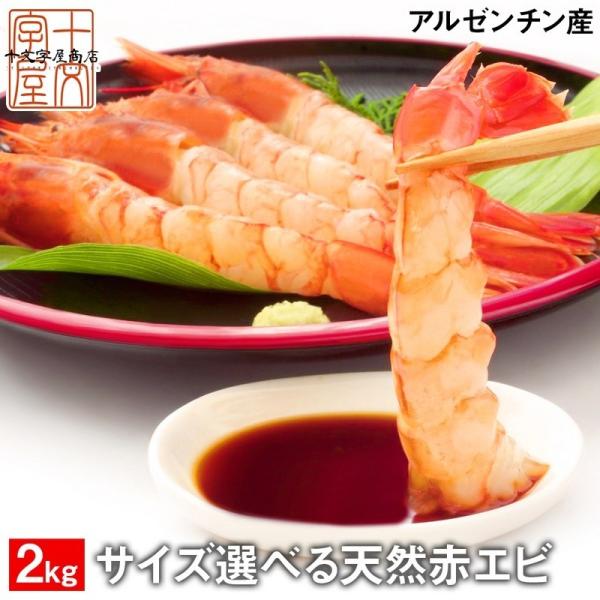 お刺身用 天然赤えび サイズ選べる 特大 大 中 業務用 2kg 送料無料 アカエビ あかえび 赤海...