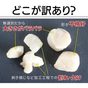 北海道産 お刺身用 ホタテ 貝柱 1kg hs...の詳細画像5