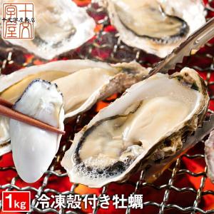 生食OK サイズ選べる 殻付き 牡蠣 宮城県産 1kg 13〜20個入 身入り抜群 冷凍 かき カキ お試し 産地直送｜十文字屋商店 Yahoo!店