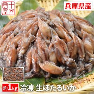 獲れたてのホタルイカを船上急速凍結 鮮度抜群 生食OK 日本海兵庫県産 ほたるいか 1kg以上 お刺身 釜茹で 沖漬け 生冷凍 業務用 大容量 釣り エサ 餌｜jyuumonjiya