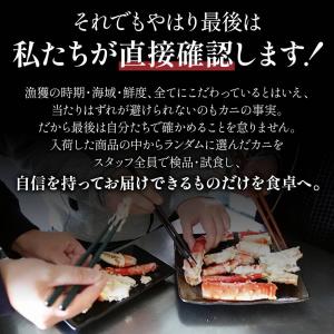 特大 5Lサイズ タラバガニ 1kg たらばが...の詳細画像2