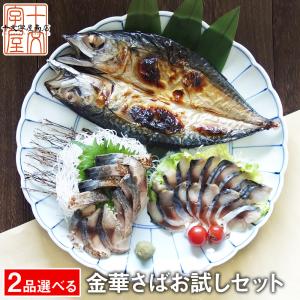 金華さば選べる二品お試しセット 至極の3種からお好み2点をチョイス 金華サバ 金華鯖 生ハム 宮城 石巻 しめ鯖 燻製 サバ 干物