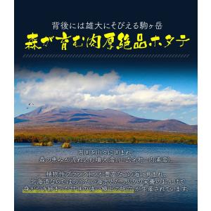 北海道噴火湾産 厳選蒸し帆立 特大2Lサイズ ...の詳細画像3