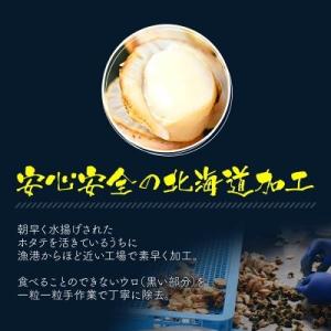 北海道噴火湾産 厳選蒸し帆立 特大2Lサイズ ...の詳細画像4