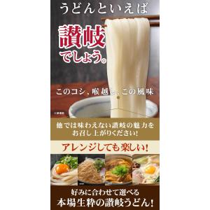 2種類から選べる 本場香川の 讃岐うどん 9人...の詳細画像4