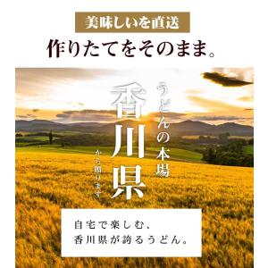 2種類から選べる 本場香川の 讃岐うどん 9人...の詳細画像5