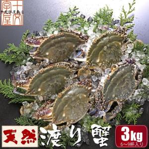 三陸石巻産 ワタリガニ オス・メス ※無選別※ 生冷凍 3kg 6〜9ハイ入り 渡り蟹 ガザミ かに 訳あり 送料無料[一部地域を除く]｜jyuumonjiya