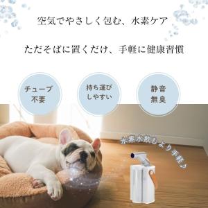 水素エアージェネレーター FLAIR フレアー...の詳細画像1