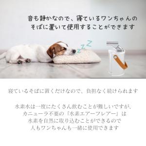 水素エアージェネレーター FLAIR フレアー...の詳細画像2