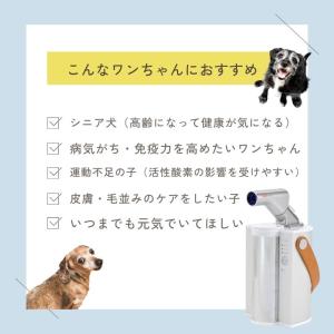 水素エアージェネレーター FLAIR フレアー...の詳細画像3