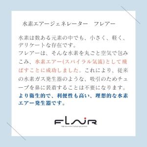 水素エアージェネレーター FLAIR フレアー...の詳細画像4