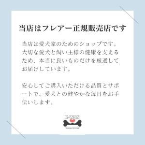 水素エアージェネレーター FLAIR フレアー...の詳細画像5