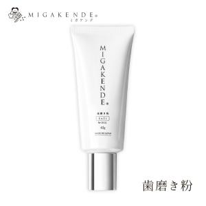 spahare EX スパーレ 水素風呂 FLAX 正規品 : K-wan. - 通販 - Yahoo