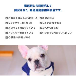 【単品】 パンフェノン 120粒入り 動物用健...の詳細画像1