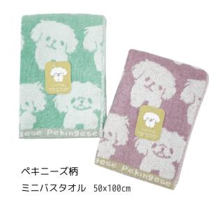 20gおまけ付き☆ アニマストラス 400g 顆粒 ANIMA STRATH 犬 ねこ