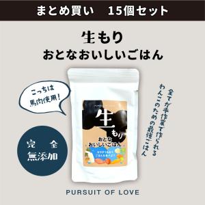 【15個セット売り】生もり大人おいしいごはん まとめ買い パシュートオブラブ 無添加