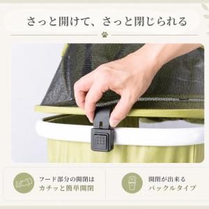 ピッコロカーネ TANTOα タントアルファ ...の詳細画像5