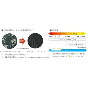 ジアエスト プロ 5L ZIAEST PRO ...の詳細画像3