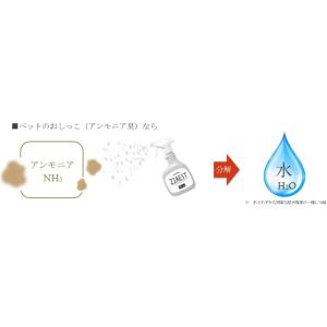 ジアエスト プロ 5L ZIAEST PRO ...の詳細画像4