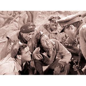 戦争映画パーフェクトコレクション 栄光の軍旗 DVD10枚セット