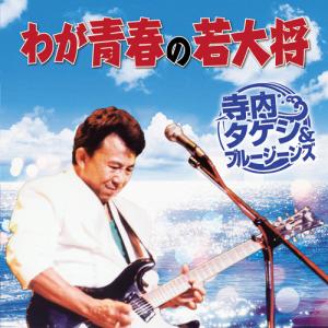 木村好夫　ムード・ギター昭和歌謡百選　CD5枚組 - 映像と音の友社 木村好夫 ムード・ギター昭和歌謡百選 CD5枚組 - 映像と音の友