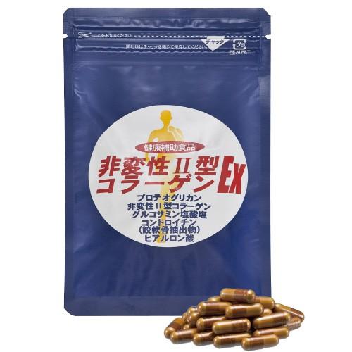コラーゲン プロテオグリカン サプリ 非変性II型コラーゲンEX 1袋 氷頭抽出成分 約1ヶ月分