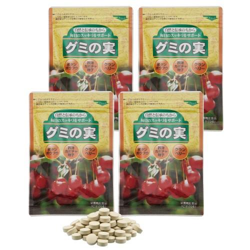 グミの実 サプリメント 4袋 タンミン イソサミジン サプリ ボタンボウフウ粉末 クランベリー配合