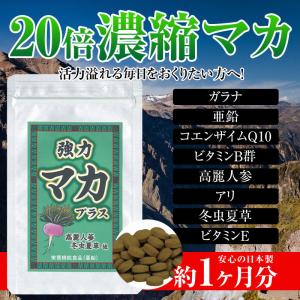 強力マカプラス 1袋 約1ヶ月分 20倍濃縮マカ 亜鉛 活力 - 宝力本舗 宝力｜k-1ba