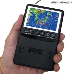 テレビが見られるポケットラジオ 32581 - 熟年時代社 ホーリ通信 ペガサス ショップ｜k-1ba