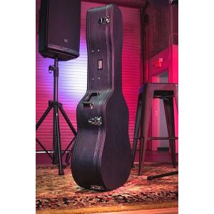 Steinberger スタインバーガー 純正 ハードケース ギターケース Steinberger スタインバーガー 純正 ハードケース ギターケース