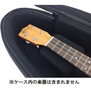 ウクレレケース ソプラノサイズ・パイナップル型対応 ハード