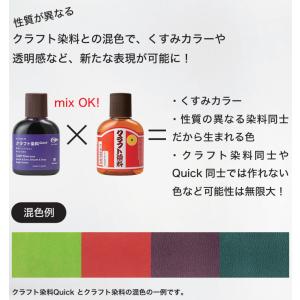 クラフト社 クラフト染料 Quick 100c...の詳細画像2