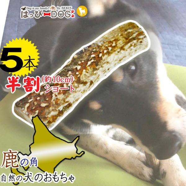 5本セット 犬 おもちゃ 鹿の角 半割 北海道 鹿角 犬のおもちゃ 犬 犬用 噛む ドッグガム デン...