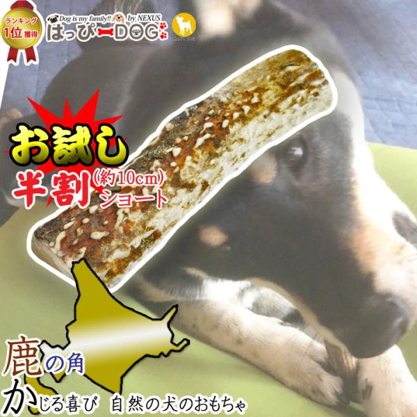1000円ポッキリ 犬 おもちゃ 鹿の角 半割 北海道 鹿角 犬のおもちゃ 犬 犬用 噛む ドッグガ...