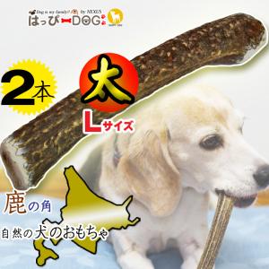 2本セット 鹿犬 おもちゃ 鹿の角 Lサイズ 北海道 鹿角 犬のおもちゃ 犬 犬用 噛む ドッグガム...