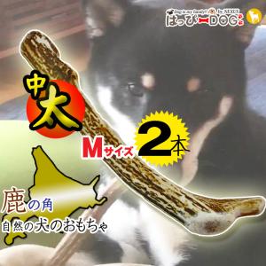 はっぴーDOG 【お買い得2本セット】鹿の角 鹿 角 XLサイズ 大型犬