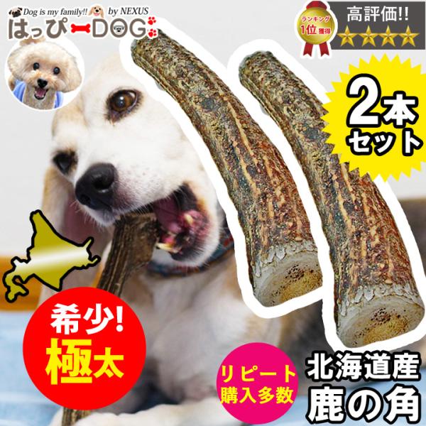 【お買い得2本セット】鹿の角 鹿 角 XLサイズ 大型犬 北海道 国産 鹿角 犬のおもちゃ 犬のおや...