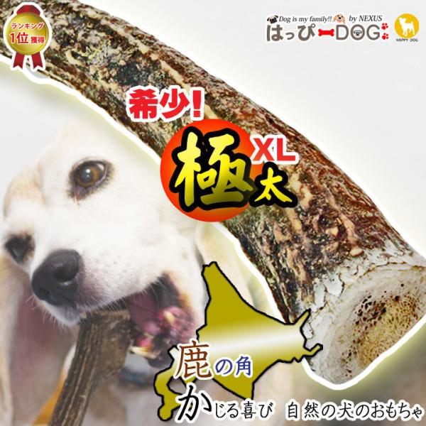犬 おもちゃ 鹿の角 XLサイズ 北海道 犬のおもちゃ 噛む ドッグガム デンタルケア デンタル効果...
