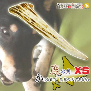 鹿の角 XSサイズ 北海道 鹿角 犬のおもちゃ 犬 犬用 噛む おもちゃ おやつ ドッグガム デンタルケア デンタル効果 口臭対策 無添加 壊れない 送料無料