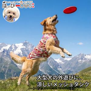 BIRDIE（バーディー） 犬の服 春 夏 Luxe birdie ミナージュワンピース
