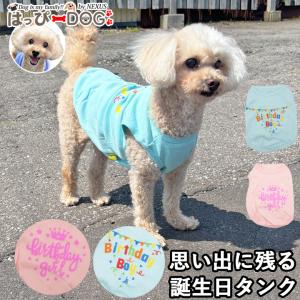 はっぴーDOG ダックス 服 ダックスフンド 服 犬 カットソー ワンピース