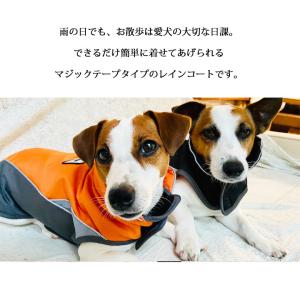 着せやすい犬用レインコート 犬服 犬 服 秋冬...の詳細画像1